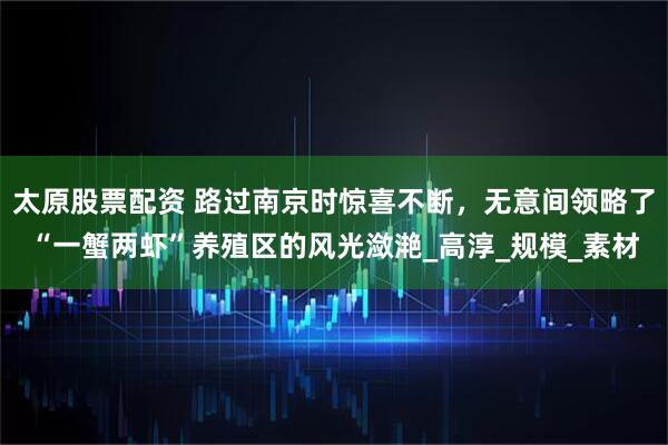 太原股票配资 路过南京时惊喜不断，无意间领略了“一蟹两虾”养殖区的风光潋滟_高淳_规模_素材